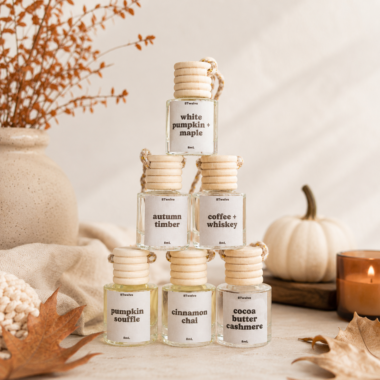 fall car diffuser bundle - pack of 8