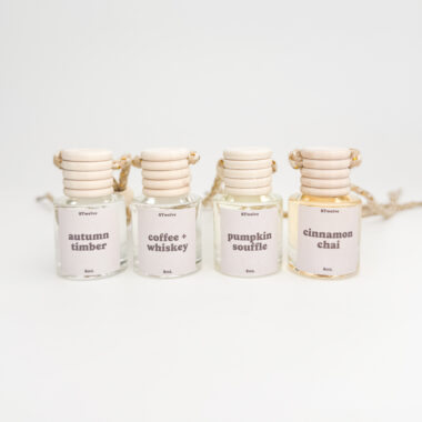 fall car diffuser bundle - pack of 6