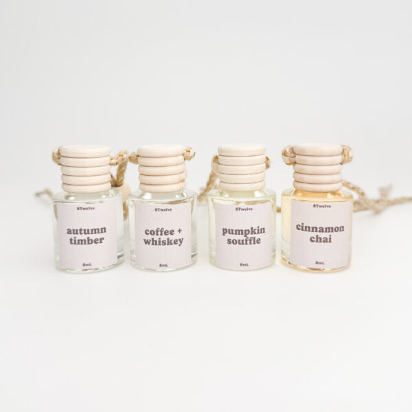 fall car diffuser bundle - pack of 6