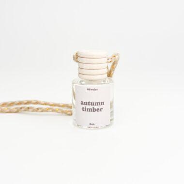 autumn timber car diffuser